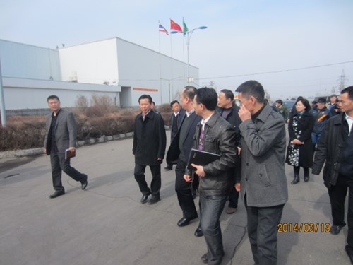 玻纖土工格柵的服務現場